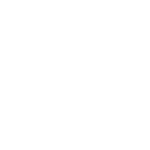 Texas Outline